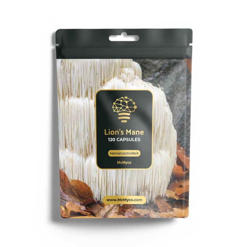 Igelstachelbart (Lion's mane)